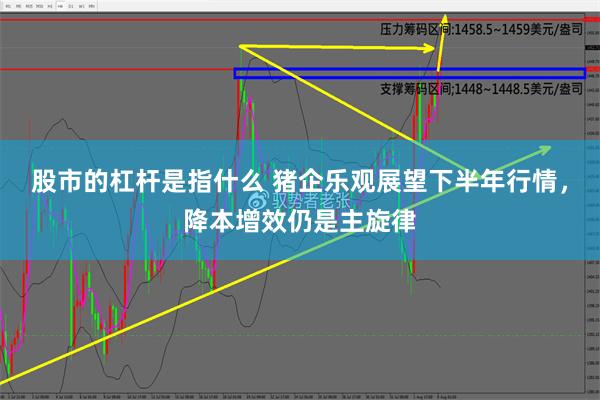 股市的杠杆是指什么 猪企乐观展望下半年行情，降本增效仍是主旋律