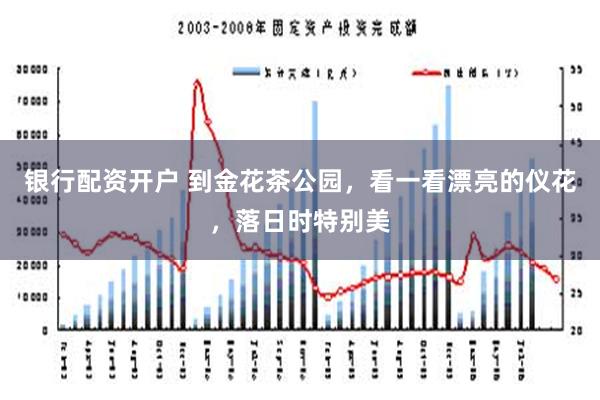 银行配资开户 到金花茶公园，看一看漂亮的仪花，落日时特别美