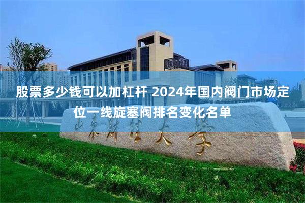 股票多少钱可以加杠杆 2024年国内阀门市场定位一线旋塞阀排名变化名单