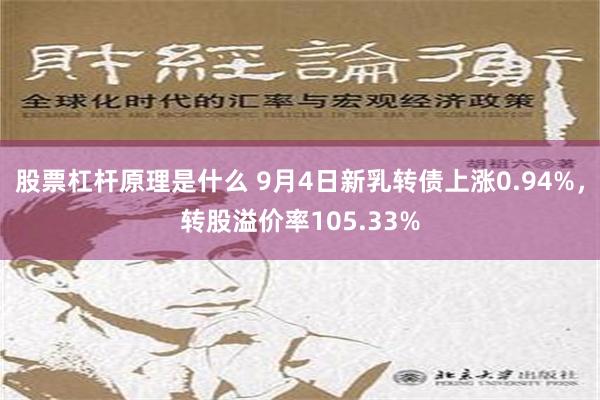 股票杠杆原理是什么 9月4日新乳转债上涨0.94%，转股溢价率105.33%