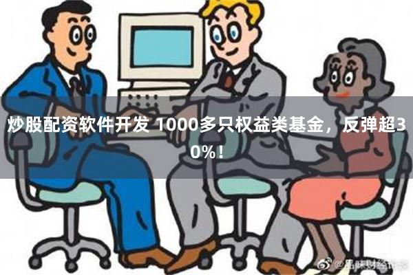 炒股配资软件开发 1000多只权益类基金，反弹超30%！