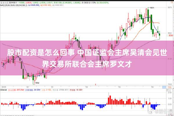 股市配资是怎么回事 中国证监会主席吴清会见世界交易所联合会主席罗文才