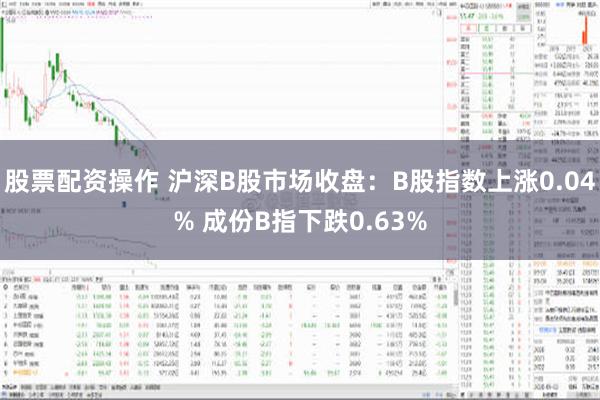 股票配资操作 沪深B股市场收盘：B股指数上涨0.04% 成份B指下跌0.63%