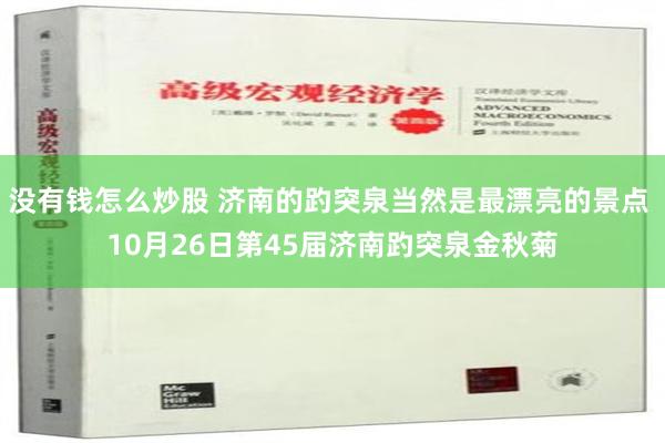 没有钱怎么炒股 济南的趵突泉当然是最漂亮的景点 10月26日第45届济南趵突泉金秋菊