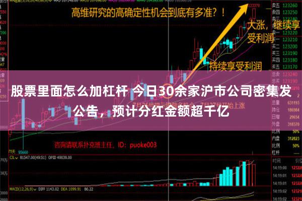 股票里面怎么加杠杆 今日30余家沪市公司密集发公告，预计分红金额超千亿