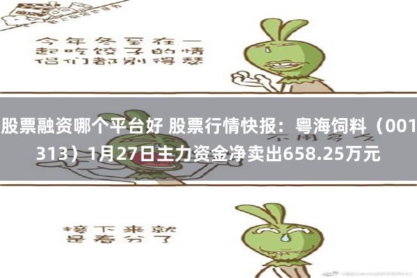 股票融资哪个平台好 股票行情快报：粤海饲料（001313）1月27日主力资金净卖出658.25万元